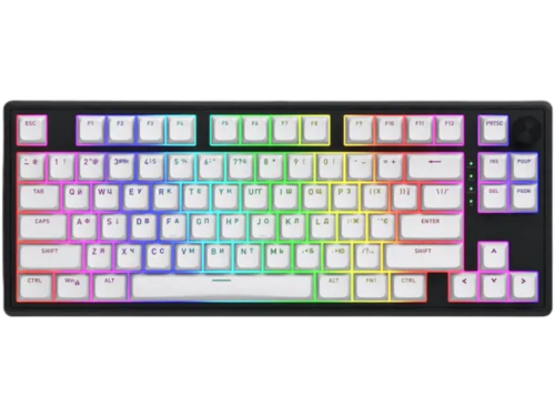 Gaming Keyboard HATOR Skyfall 80 wireless (HTK3180) white-black