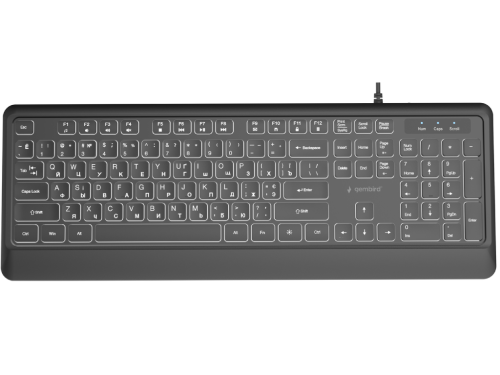 Gaming Keyboard Gembird KB-UML-04-CYRL, USB Type-A + C RU/EN